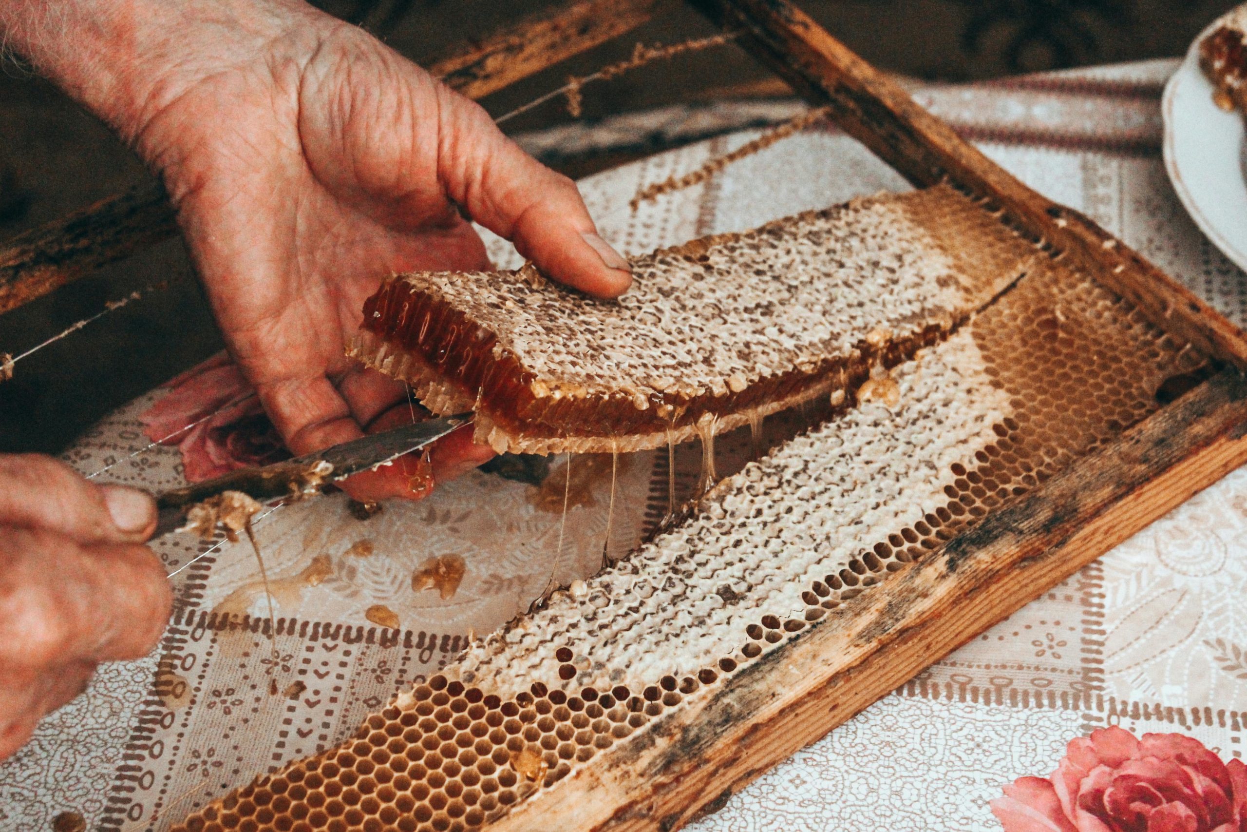A person cutting a piece of honeycomb with a knife